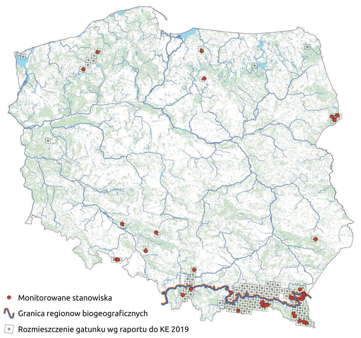 Mapa przedstawiająca rozmieszczenie gatunku Widłoząb zielony. Kliknięcie na zdjęcie spowoduje powiększenie do rozmiarów oryginalnych