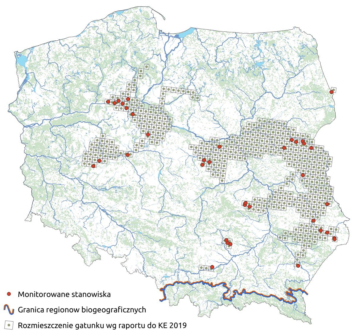 Mapa przedstawiająca rozmieszczenie gatunku Starodub łąkowy. Kliknięcie na zdjęcie spowoduje powiększenie do rozmiarów oryginalnych