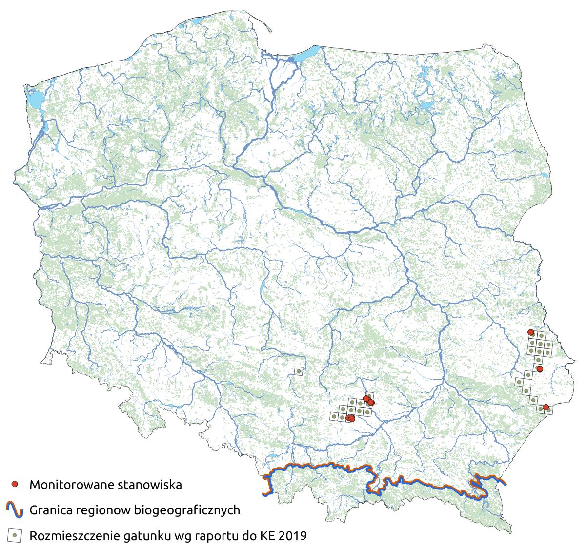 Mapa przedstawiająca rozmieszczenie gatunku Dziewięćsił popłocholistny. Kliknięcie na zdjęcie spowoduje powiększenie do rozmiarów oryginalnych