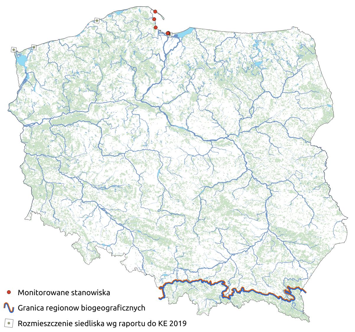 Mapa przedstawiająca występowanie siedliska Nadmorskie wydmy z zaroślami rokitnika. Kliknięcie na zdjęcie spowoduje powiększenie do rozmiarów oryginalnych