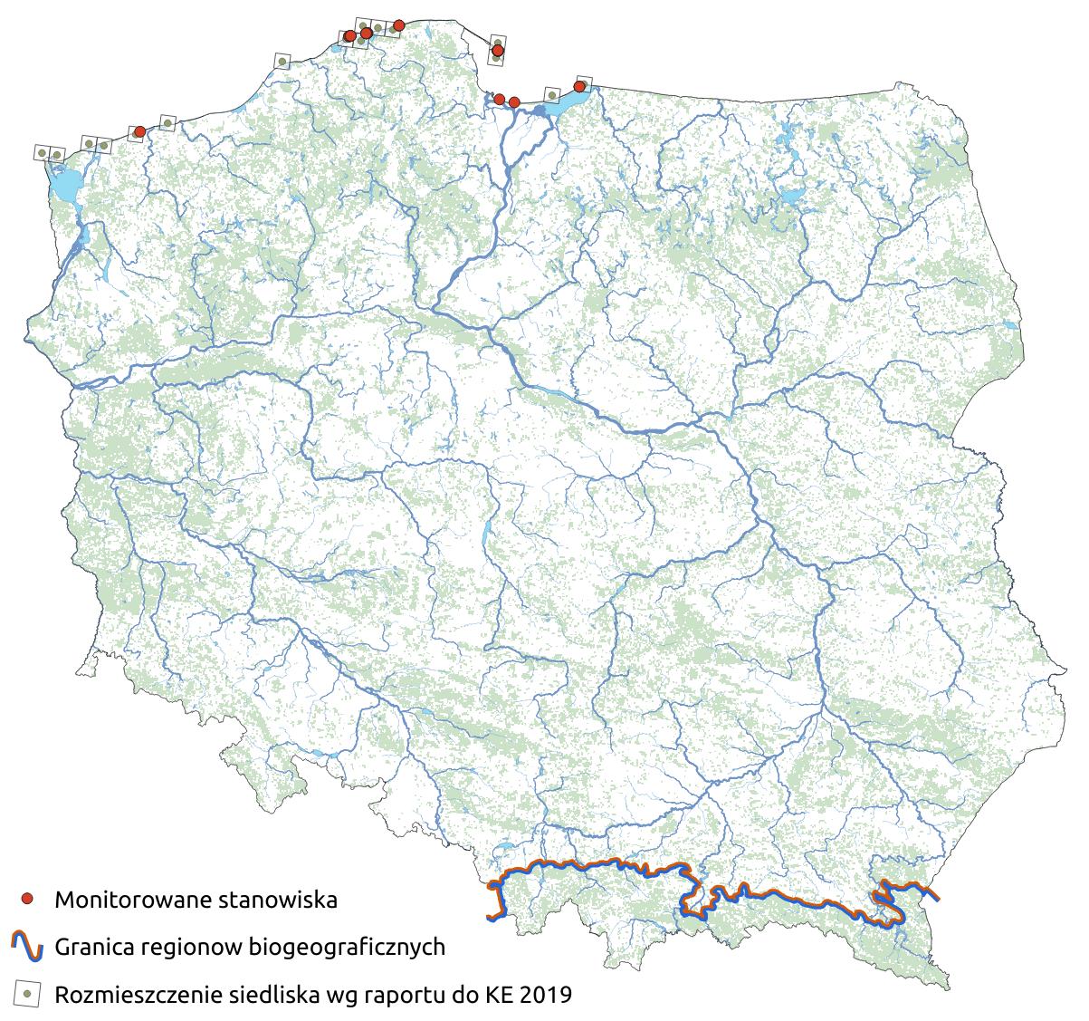 Mapa przedstawiająca występowanie siedliska Nadmorskie wydmy z zaroślami wierzby piaskowej. Kliknięcie na zdjęcie spowoduje powiększenie do rozmiarów oryginalnych