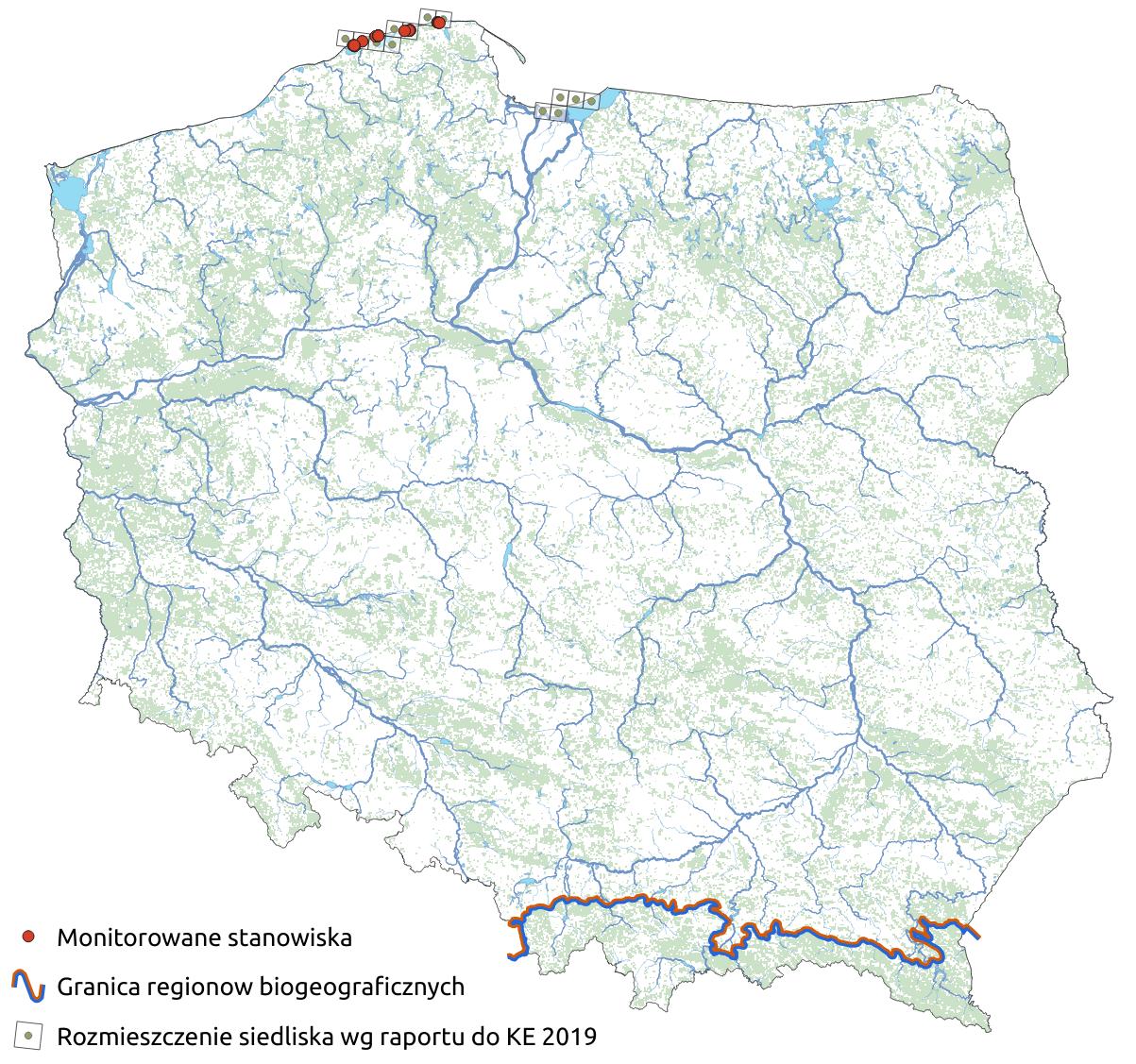 Mapa przedstawiająca występowanie siedliska Wilgotne zagłębienia międzywydmowe. Kliknięcie na zdjęcie spowoduje powiększenie do rozmiarów oryginalnych