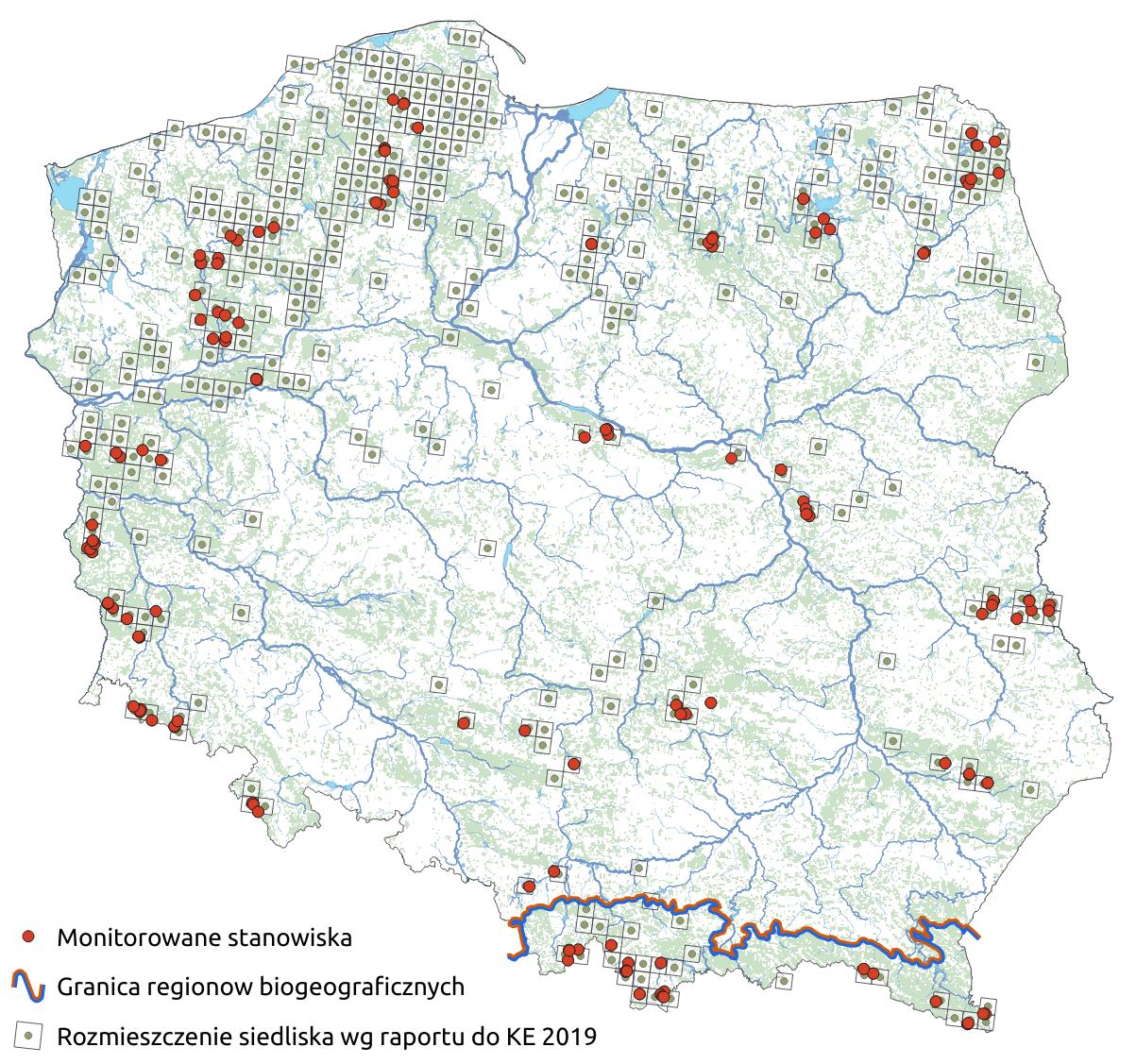 Mapa przedstawiająca występowanie siedliska Torfowiska przejściowe i trzęsawiska (przeważnie z roślinnością z Scheuchzerio-Caricetea nigrae). Kliknięcie na zdjęcie spowoduje powiększenie do rozmiarów oryginalnych