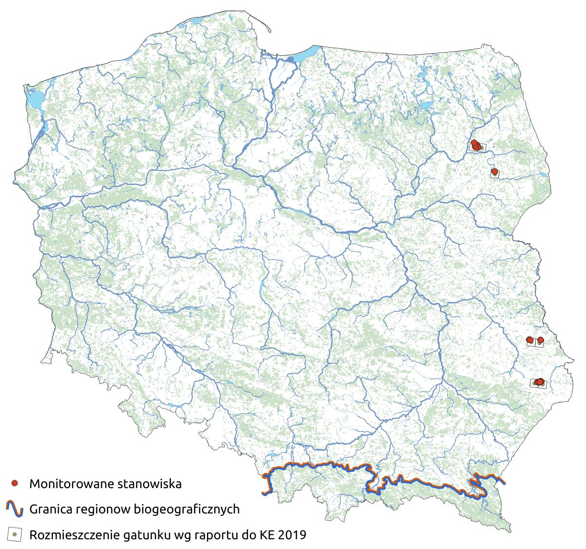 Mapa przedstawiająca rozmieszczenie gatunku strzępotek edypus. Kliknięcie na zdjęcie spowoduje powiększenie do rozmiarów oryginalnych