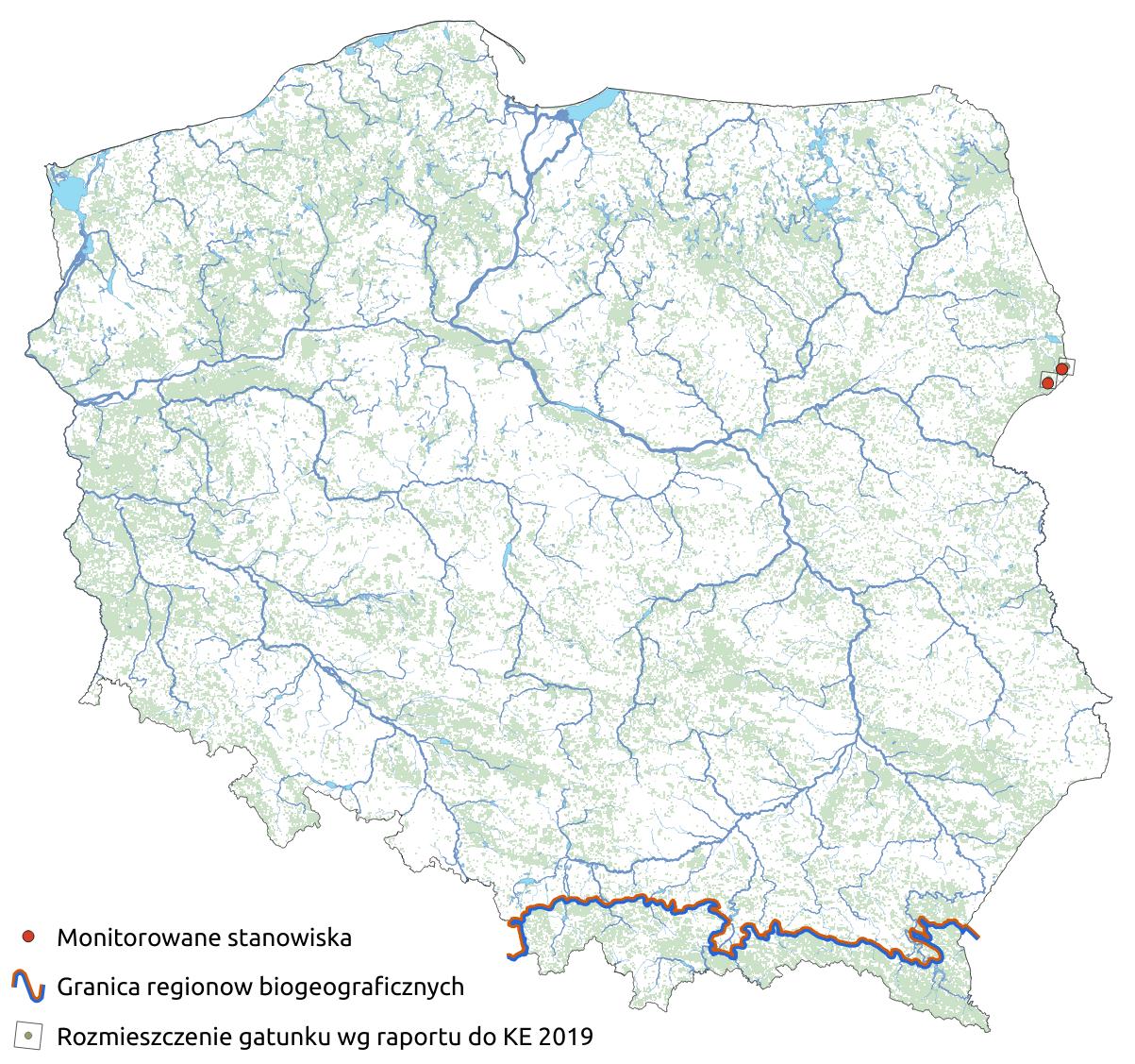 Mapa przedstawiająca rozmieszczenie gatunku bogatek wspaniały. Kliknięcie na zdjęcie spowoduje powiększenie do rozmiarów oryginalnych