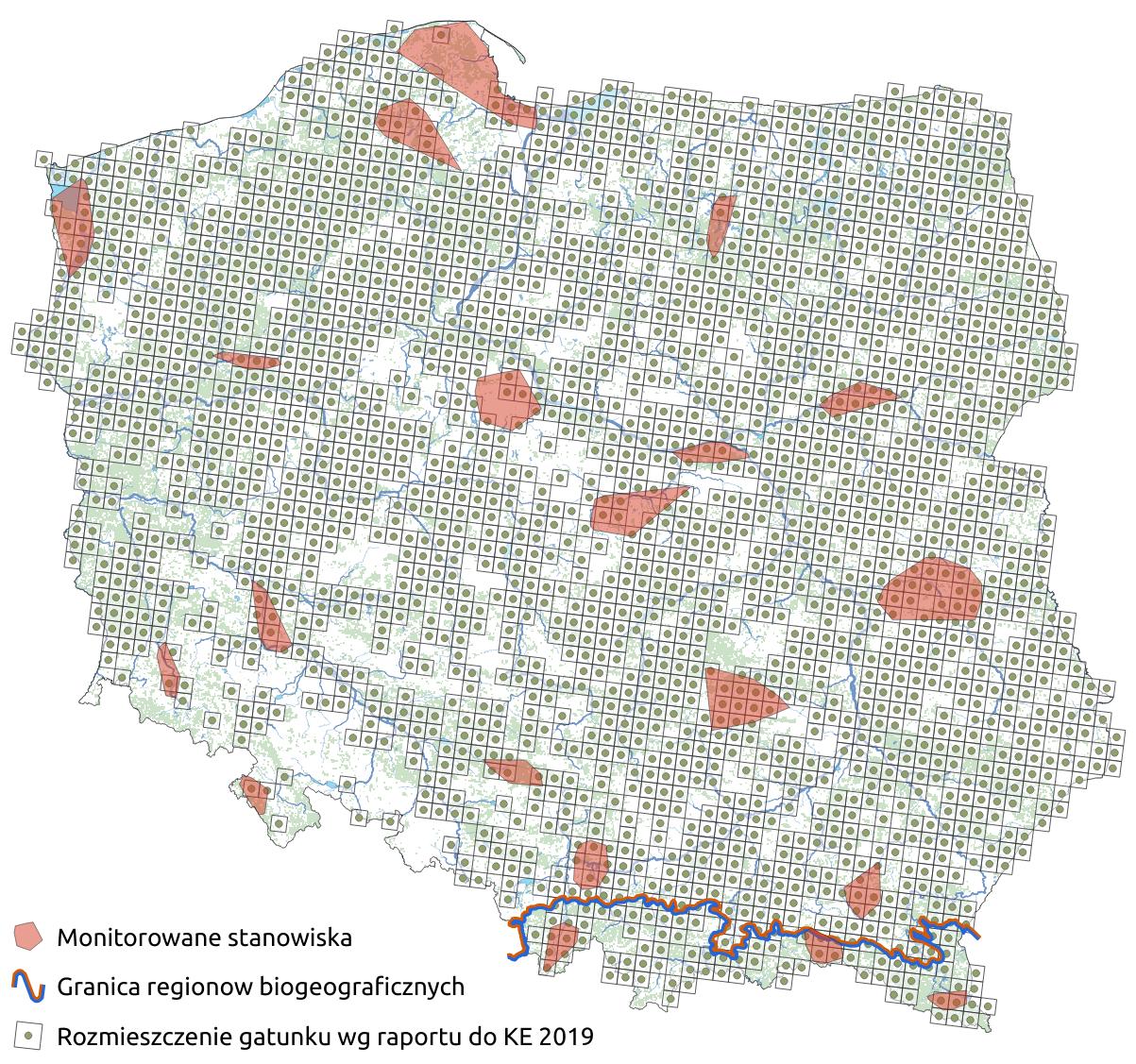 Mapa przedstawiająca rozmieszczenie gatunku bóbr europejski. Kliknięcie na zdjęcie spowoduje powiększenie do rozmiarów oryginalnych