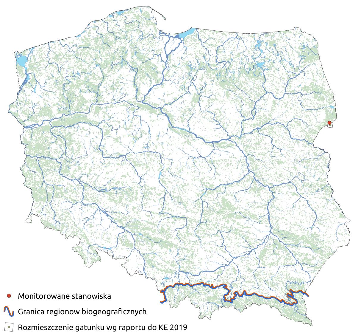 Mapa przedstawiająca rozmieszczenie gatunku Średzinka. Kliknięcie na zdjęcie spowoduje powiększenie do rozmiarów oryginalnych