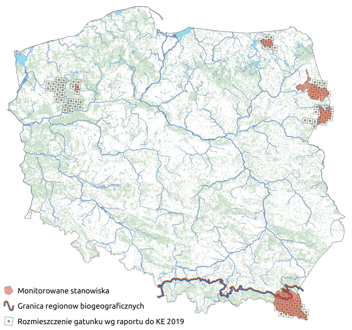 Mapa przedstawiająca rozmieszczenie gatunku żubr. Kliknięcie na zdjęcie spowoduje powiększenie do rozmiarów oryginalnych