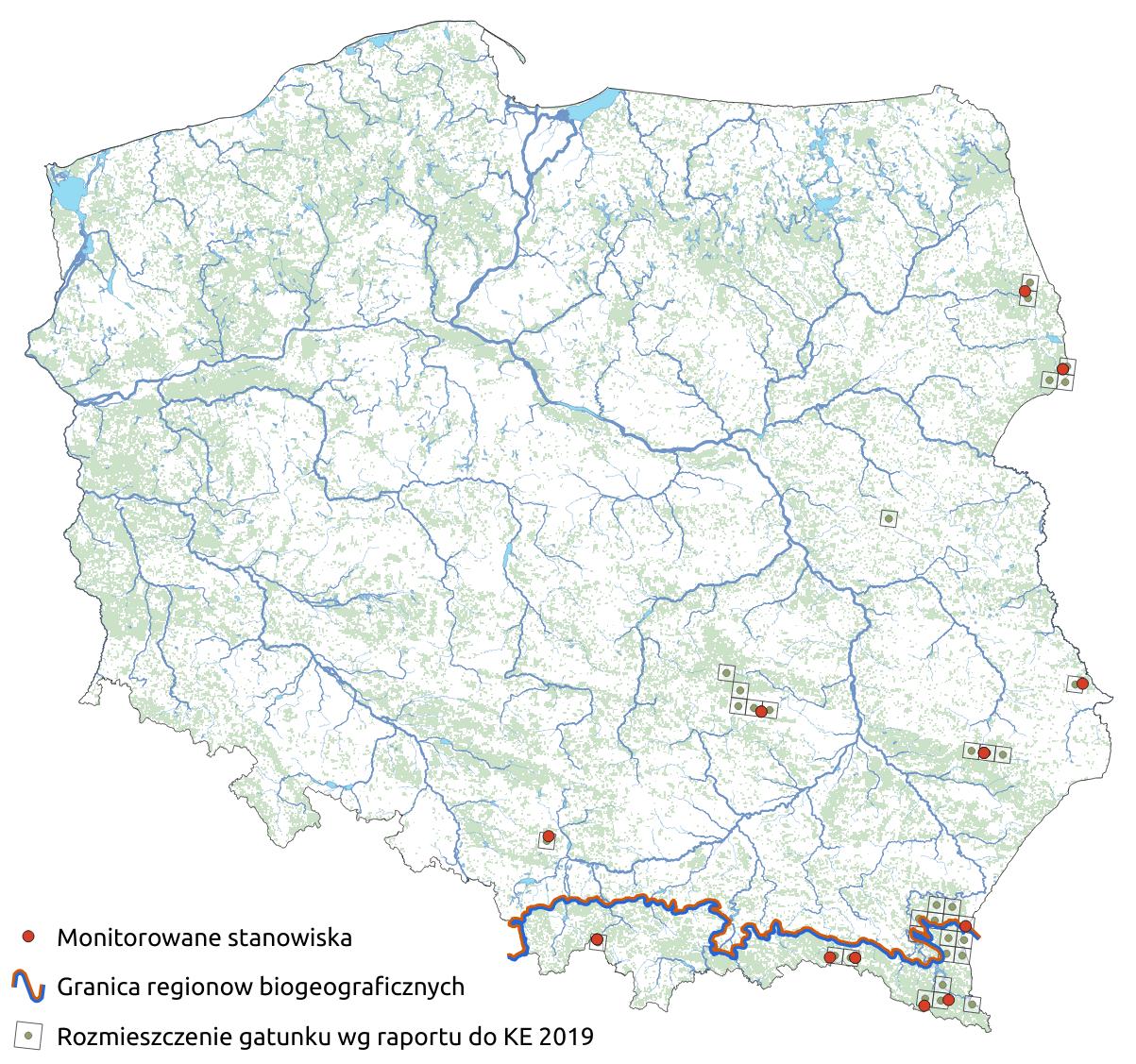 Mapa przedstawiająca rozmieszczenie gatunku zagłębek bruzdkowany. Kliknięcie na zdjęcie spowoduje powiększenie do rozmiarów oryginalnych