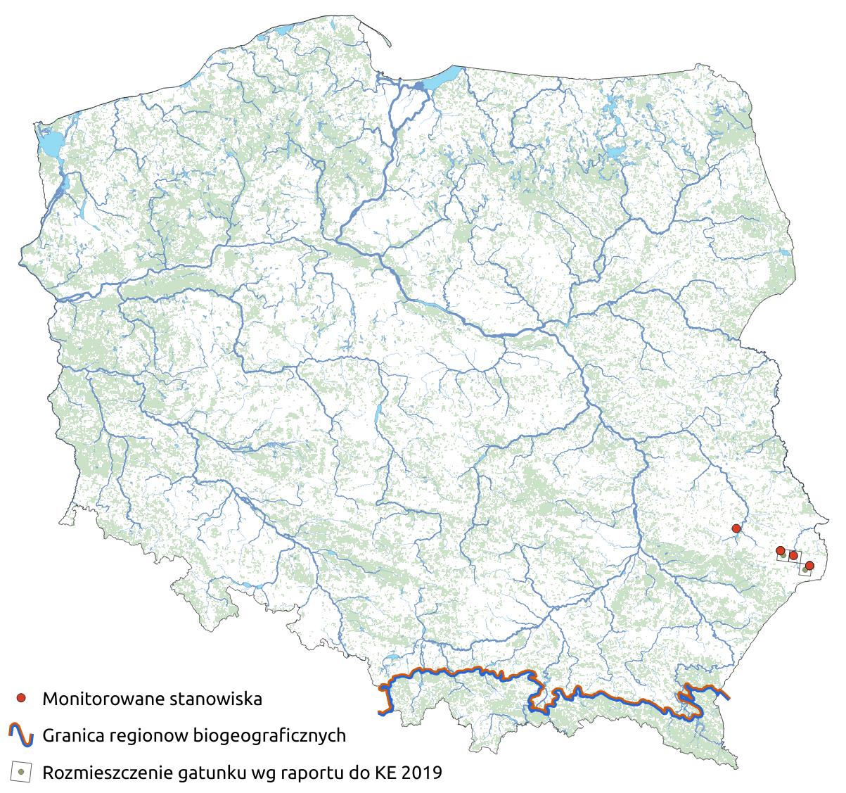 Mapa przedstawiająca rozmieszczenie gatunku łątka ozdobna. Kliknięcie na zdjęcie spowoduje powiększenie do rozmiarów oryginalnych