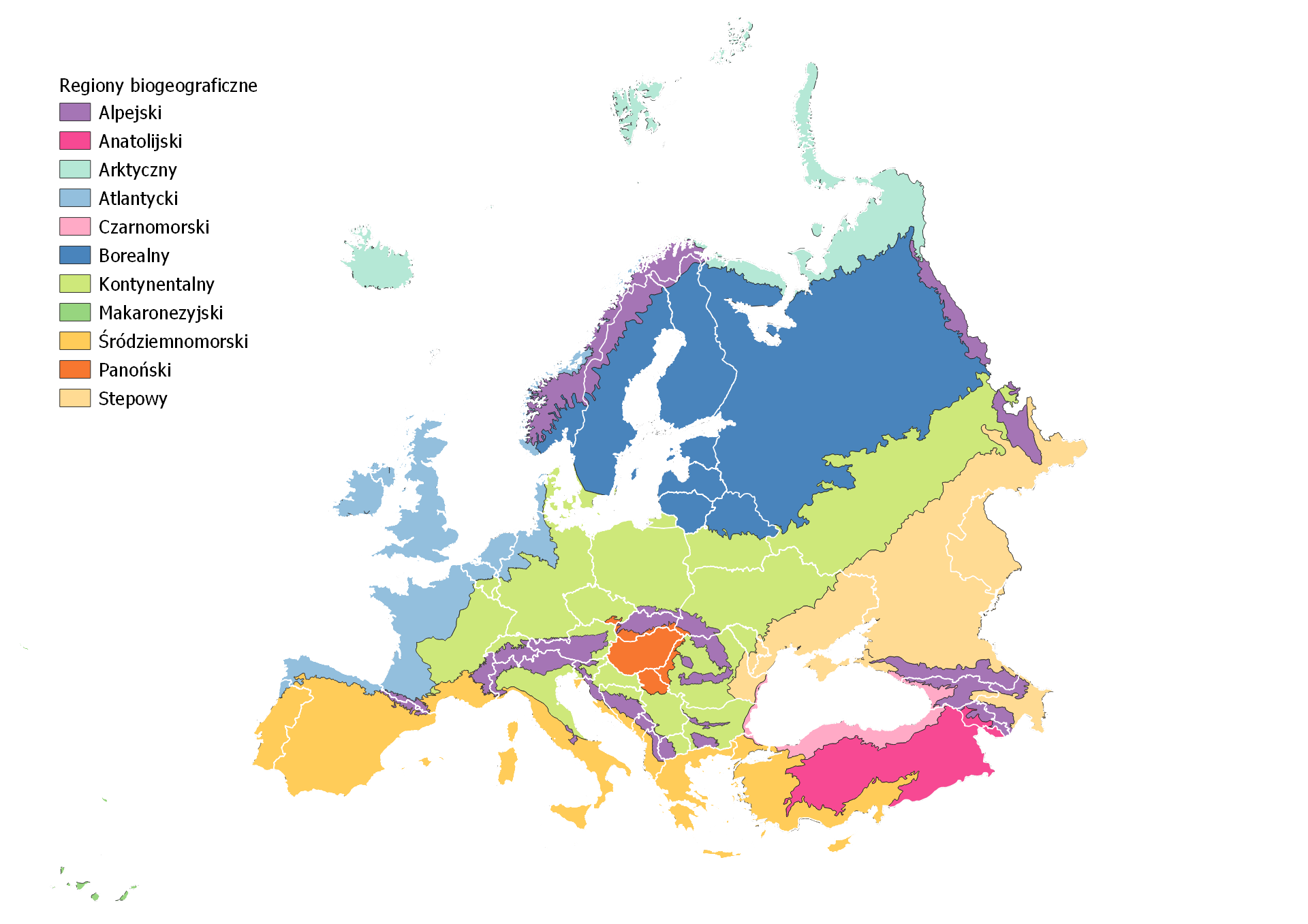 Mapa regionów biogeograficznych